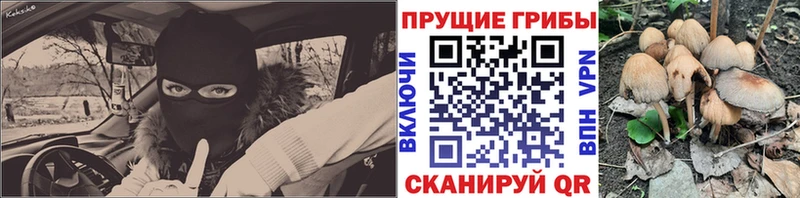 Галлюциногенные грибы Magic Shrooms  купить   Кирово-Чепецк 